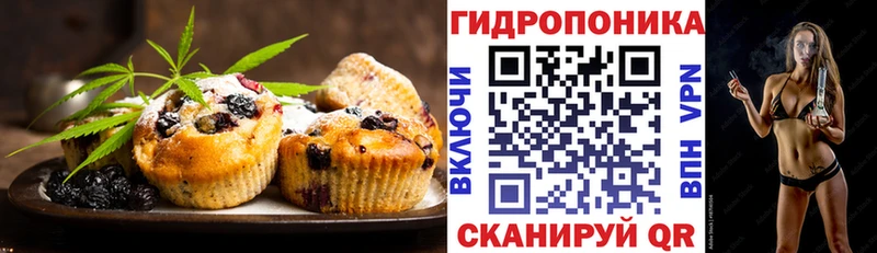 закладки  Серов  Cannafood конопля 