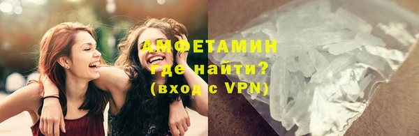 ПСИЛОЦИБИНОВЫЕ ГРИБЫ Сосновка