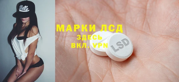 ПСИЛОЦИБИНОВЫЕ ГРИБЫ Сосновка