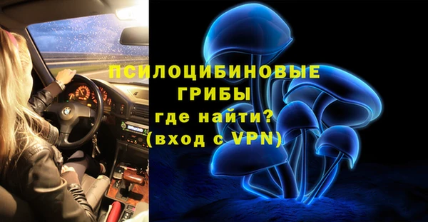 ПСИЛОЦИБИНОВЫЕ ГРИБЫ Сосновка